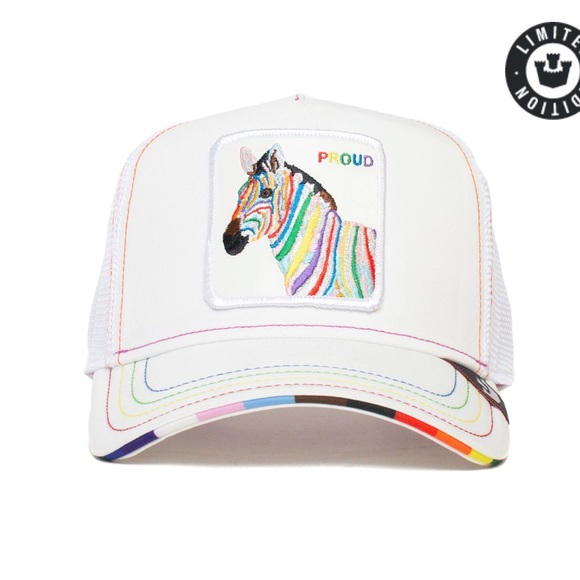 Goorin Bros limited edition ?️‍? main image 6
